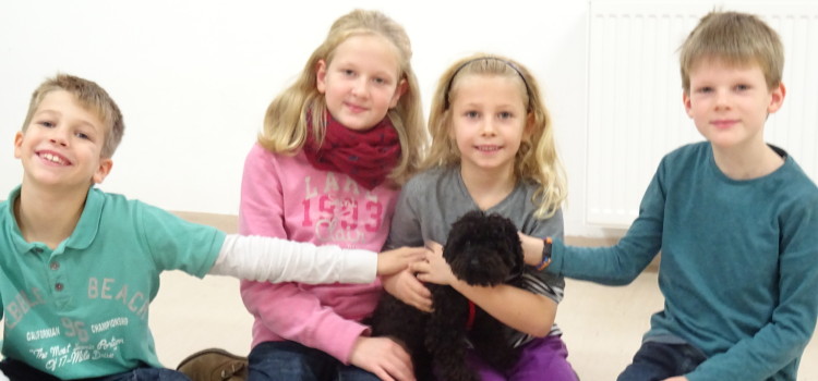 Kids & Dogs Workshop – mein Hund – mein Freund!