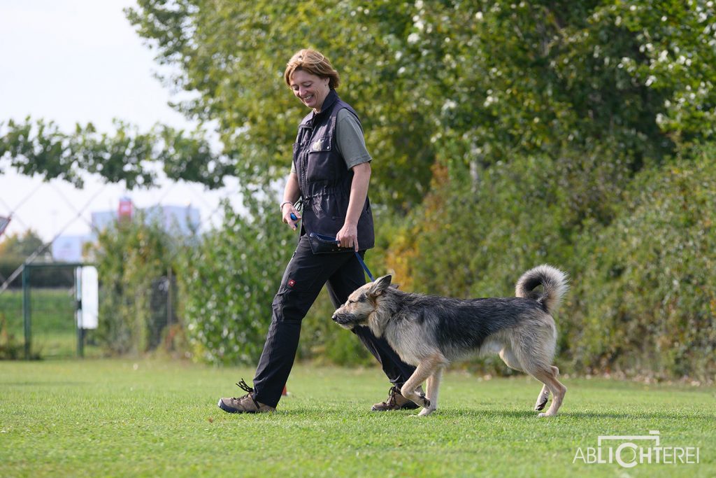 Project Canis mit Mag. Michaela Marschall -spezielles Einzeltrainig für jeden Hund